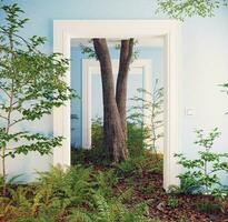 deep forest floor in the room interior. photo