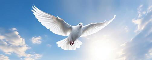 International Peace Day, White Dove Flying on Blue Sky Background, Bird of Peace Symbol. photo