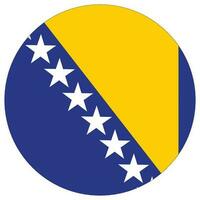 Bosnia and Herzegovina flag. Flag of Bosnia and Herzegovina design shape. vector