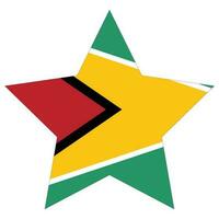 Guyana flag. Flag of Guyana design shape. vector