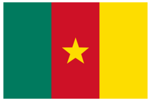 Flag of Cameroon in design shape. Cameroon flag in design shape. png