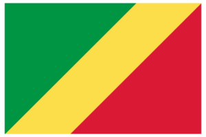 Congo vlag in ontwerp vorm geven aan. vlag van Congo in ontwerp vorm geven aan. png