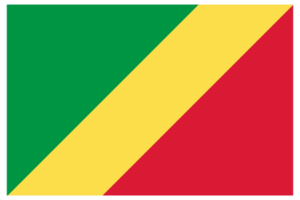 congo bandera en diseño forma. bandera de congo en diseño forma. png