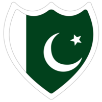 Flag of Pakistan in shape. Pakistan flag in shape. png