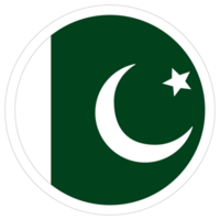 Flag of Pakistan in shape. Pakistan flag in shape. png