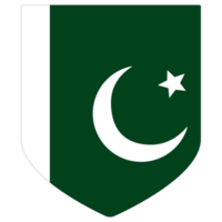 Flag of Pakistan in shape. Pakistan flag in shape. png