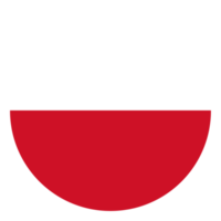 flagga av polen i form. polen flagga. png