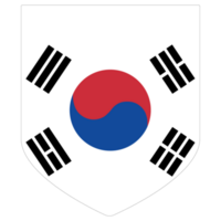 vlag van zuiden Korea. zuiden Korea vlag. png