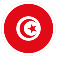 bandiera di tunisia. tunisia bandiera con il design forma png