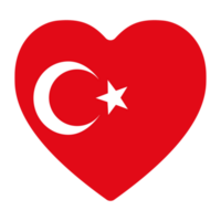 bandera de Turquía en forma. Turquía bandera en forma. png