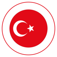 bandera de Turquía en forma. Turquía bandera en forma. png