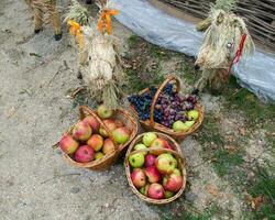 cestas con manzanas, peras y uvas. cestas con Fruta foto