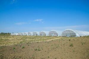 A group of greenhouses for growing tomatoes and cucumbers. photo