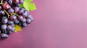 Ripe grapes mockup and copy space with a gradient background, photo