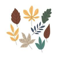 Autumn leaf isolated on white background simple cartoon flat style vector illustration