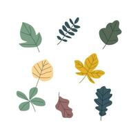 Autumn leaf isolated on white background simple cartoon flat style vector illustration