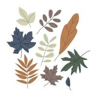 Autumn leaf isolated on white background simple cartoon flat style vector illustration