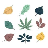 Autumn leaf isolated on white background simple cartoon flat style vector illustration