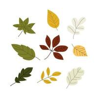 Autumn leaf isolated on white background simple cartoon flat style vector illustration