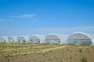 A group of greenhouses for growing tomatoes and cucumbers. photo