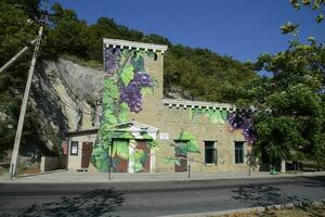 Graffiti on the building in the form of a vine. Figure grapes. photo