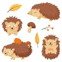 Collection of images of cute children of forest hedgehogs with apples and mushrooms in needles. A twig with berries and yellow fallen leaves. vector