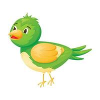 vector aislado imagen de dibujos animados personaje verde bebé pájaro con brillante plumaje.