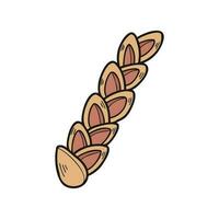 isolate handraw epi bread vector