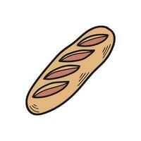 isolate hand drawn  bakery bread vector