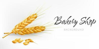 Realistic 3D vector illustration of a golden ear of wheat on a white background. Perfect for bakery shops, agriculture related designs. Represents autumn harvest, natural ingredients, healthy food