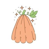 Pumpkin doodle illustration vector