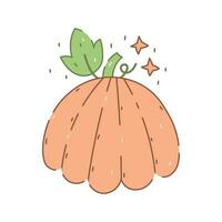 Cute pumpkin with leaf vector