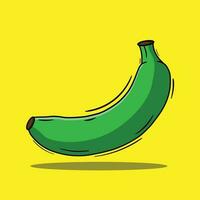 Vector illustration of Green banana