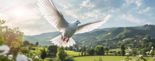 International Peace Day, White Dove Flying on Blue Sky Background, Bird of Peace Symbol. photo