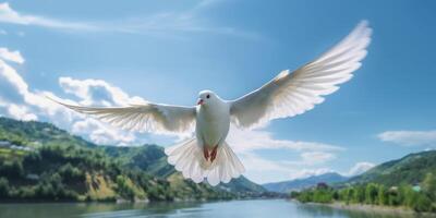 International Peace Day, White Dove Flying on Blue Sky Background, Bird of Peace Symbol. photo