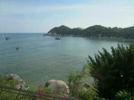paisaje de koh tao y el mar foto