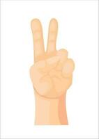 Human hand with Victory gesture. Sign of success vector