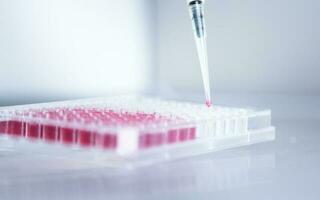 cell culture at the laboratory of cell culture, medical and medicine photo