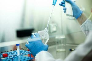 cell culture at the laboratory of cell culture  medical and medicine photo