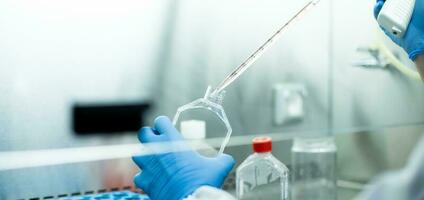 cell culture at the laboratory of cell culture  medical and medicine photo