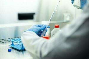 cell culture at the laboratory of cell culture  medical and medicine photo