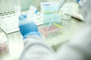 cell culture at the laboratory of cell culture, medical and medicine photo