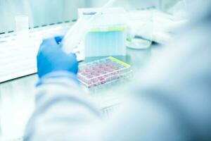 cell culture at the laboratory of cell culture, medical and medicine photo