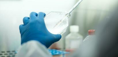 cell culture at the laboratory of cell culture  medical and medicine photo