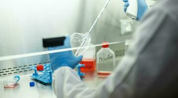 cell culture at the laboratory of cell culture  medical and medicine photo