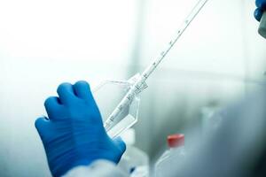 cell culture at the laboratory of cell culture  medical and medicine photo