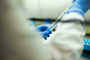 cell culture at the laboratory of cell culture  medical and medicine photo