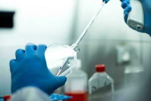 cell culture at the laboratory of cell culture  medical and medicine photo