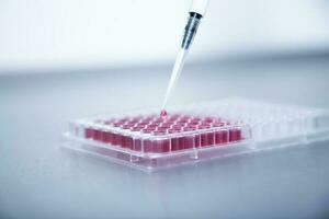 cell culture at the laboratory of cell culture, medical and medicine photo