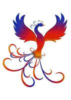 Colorful Phoenix Bird Vector Illustration On White Background